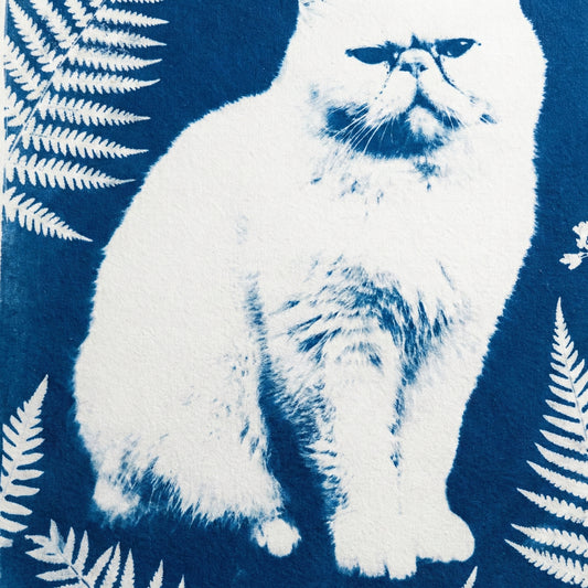 Botanical Cyanotype Cat Canvas