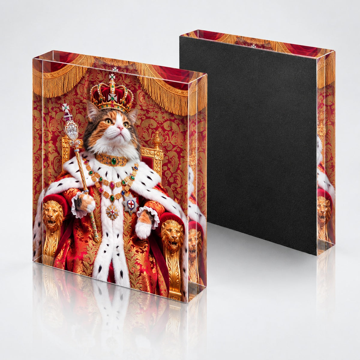 Custom cat portrait acrylic block, Royal style, 1 cat, front and back with the textured black backing