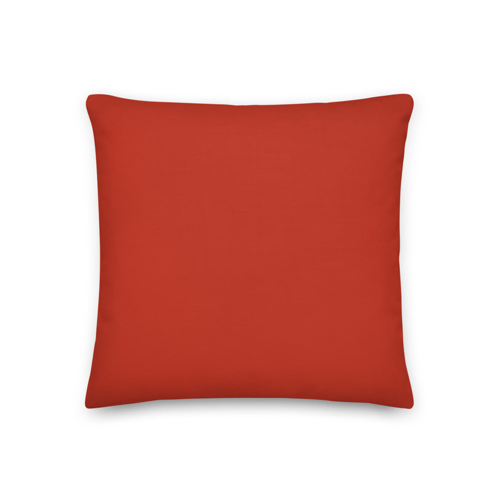 Custom cat portrait pillow, Abstract Expressionism style, square, back