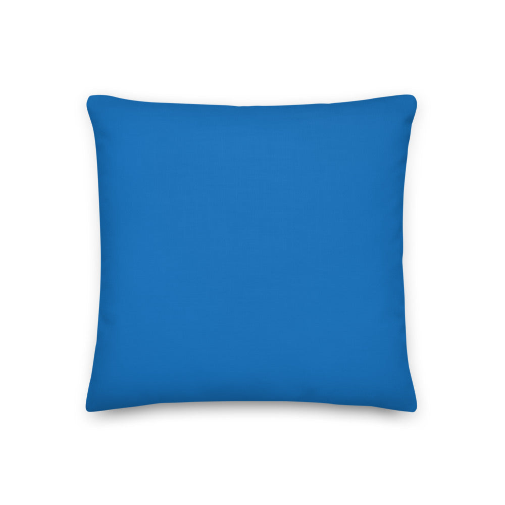 Custom cat portrait pillow, Expressionism style, square, back