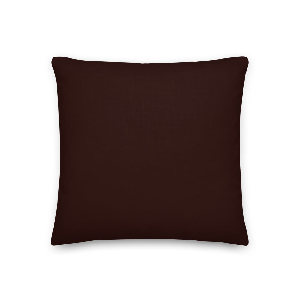Custom cat portrait pillow, Pirate style, square, back