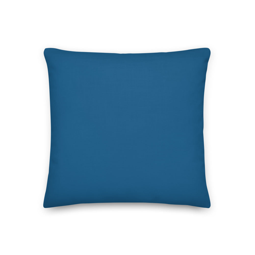 Custom cat portrait pillow, Van Gogh style, square, back